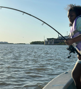 Bring your best cast to Texas